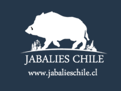 Jabalíes Chile